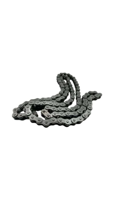 CADENA TRASMISION CASSARELLA 520H 108