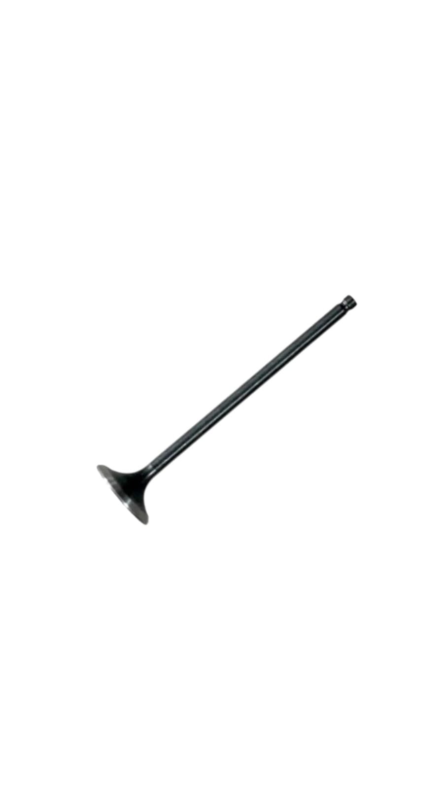 VALVULA ESCAPE TVS NTORQ 125 / RAIDER 125 (4.5MM)
